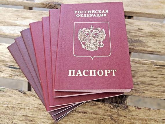 прописка в Истре